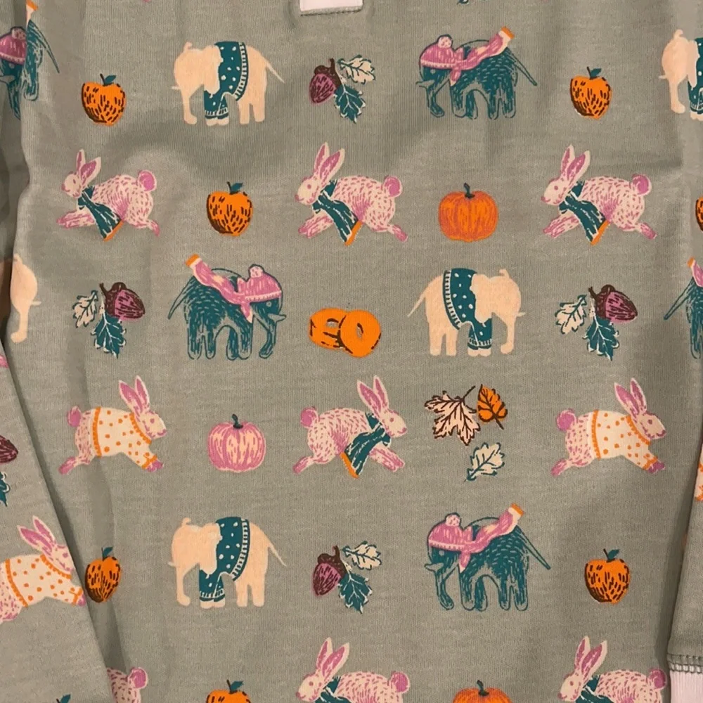 Roller Rabbit Pumpkin Spice Pajamas - Picture 4 of 6